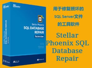 信息系統集成項目管理軟件在阿里云云市場的應用與產品解析